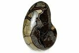 Septarian Dragon Egg Geode - Black Crystals #302859-2